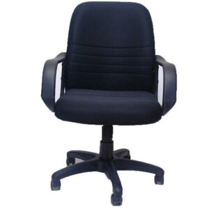 Ahsia Office Chair with padded seat and back, gas lift height adjustment, and nylon base.