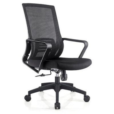Avera Office Chair with breathable mesh back, lumbar support, padded seat, adjustable height, and swivel base
